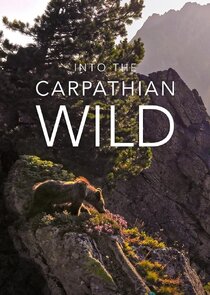 Into the Carpathian Wild