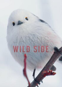 Japan's Wild Side